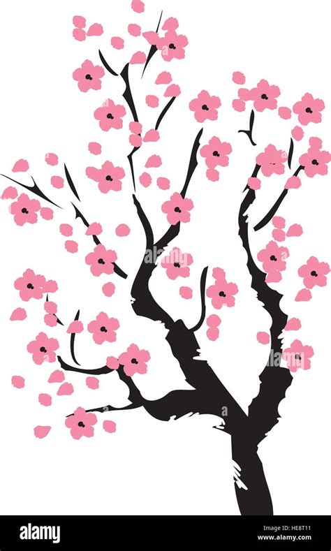 Vector Illustration Of Cherry Blossom Tree Stock Vector Image And Art Alamy