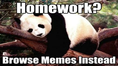 17 Homework Memes That Tell It Like It Is We Are Teachers