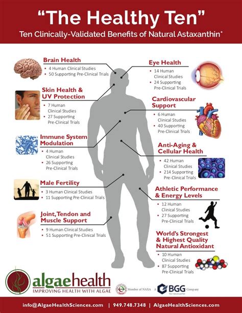 Astaxanthin Clinical Research 10 Health Benefits