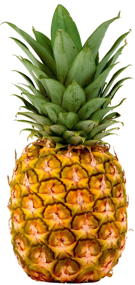 Pineapple Png