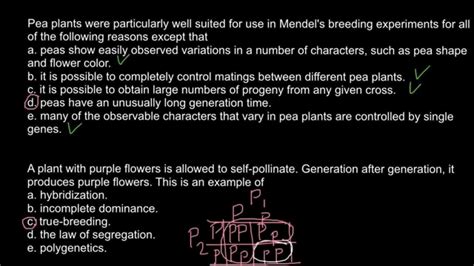 The invention of dating (farrar, straus and giroux), a sprawling new. Definition of true-breeding plant - YouTube