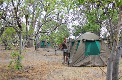 Botswana Mobile Camping In Moremi Game Reserve