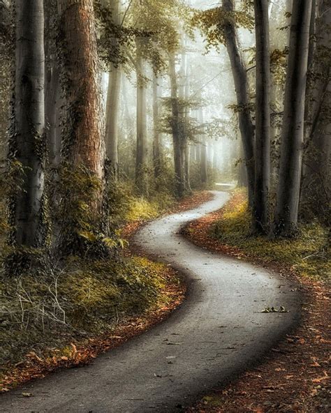 Winding Path In The Forest No Location Given By Lars Van De Goor Cr