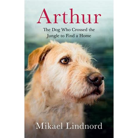 Arthur The Dog Who Crossed The Jungle To Find A Home Hardcover
