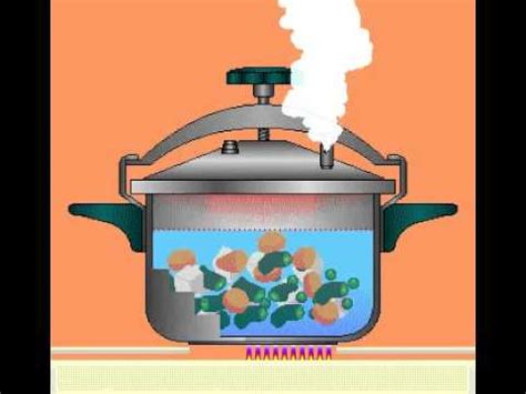 Verduras al vapor en una olla eléctrica a presión ¿cuáles son las verduras que se pueden cocinar al vapor en una olla eléctrica a presión? Curso de Olla a Presion SD - YouTube