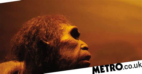 breakthrough research shows how much sex humans had with neanderthals metro news