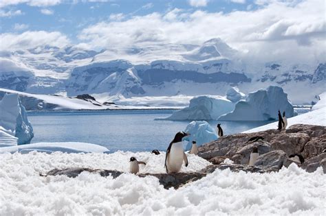 What Its Like To Travel To Antarctica By Luxury Cruise Travelluxury