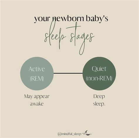 How Your Newborn’s Sleep Works — Mindful Sleep Consulting