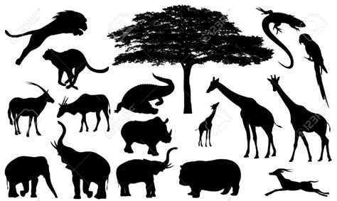 African Wildlife Clipart Clip Art Library African Wildlife African