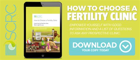 There are many steps to successful ivf. What to Do Before and After Embryo Transfer: Tips for ...