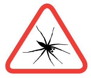 Give us a call for your free estimate today! Pest Control Missoula | We Aim to Kill Bugs