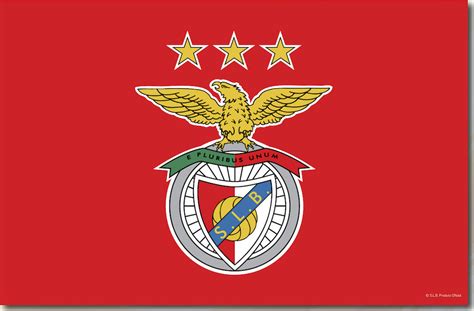Copa américa, estadio futebol, sobre futebol. Bandeira C/Capucho SLB Benfica