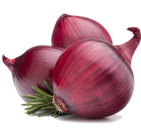 Red Onion PNG HD PNG, SVG Clip art for Web - Download Clip Art, PNG png image