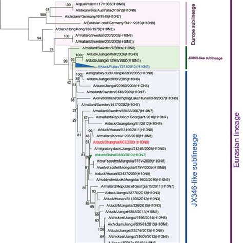 References this page was last edited on 1 june 2021, at 22:05 (utc). c Phylogenetic trees of six non-envelope genes of the H5N8 HPAIVs... | Download Scientific Diagram