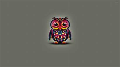 Owl Bright Colorful Feathers Wallpapers Owls Animal