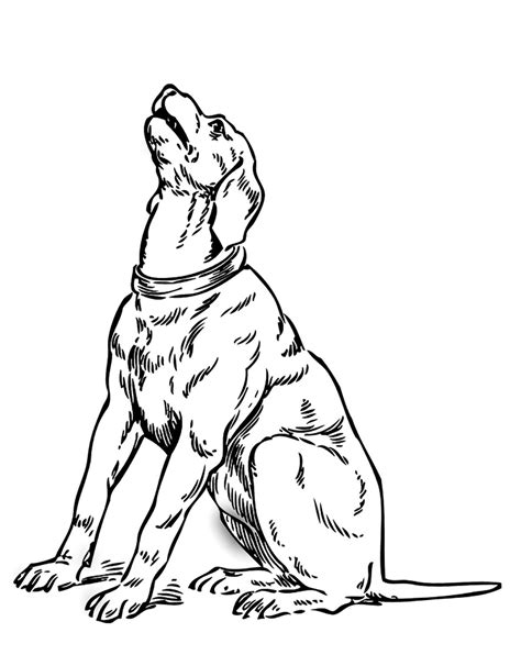 Printable Dog Coloring Pages For Kids Dogs Kids Coloring Pages