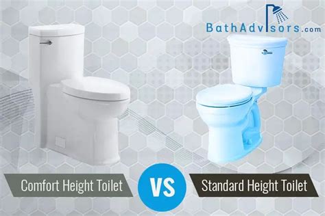 Toilet Chair Height Vs Comfort Height Apartments And Houses For Rent