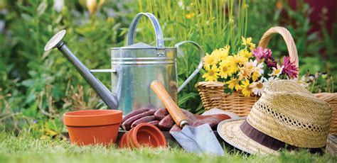Choosing The Best Gardening Tools For Your Garden Petercatrecordingco
