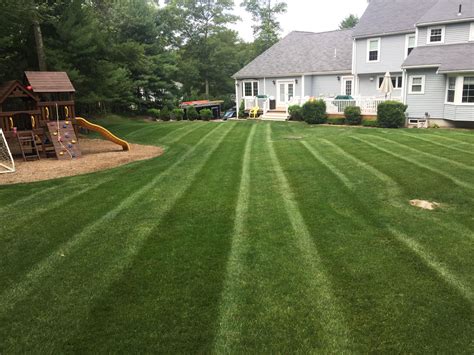 Boston skyline photo by fotosearch / csp_seanpavonephoto. Residential Landscape Maintenance - Guerrini Landscape Design