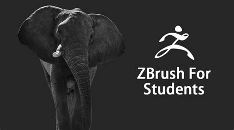 ZBrush For Students | Concept and Skill of ZBrush For Students