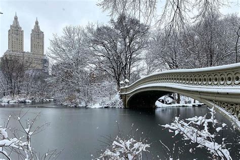 Nyc Snow Storm Blankets Central Park In More Than 5 Inches Of Snow