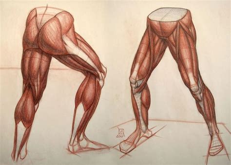 Two Different Views Of The Legs And Arm Of A Man With Muscles Drawn On
