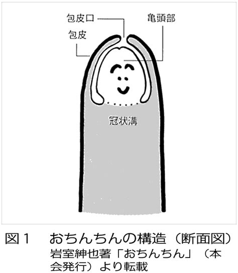 【第724号】 平成26年7月1日発行（2014年） 一般社団法人 日本家族計画協会