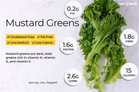 Mustard Greens Nutrition Facts And Health Benefits