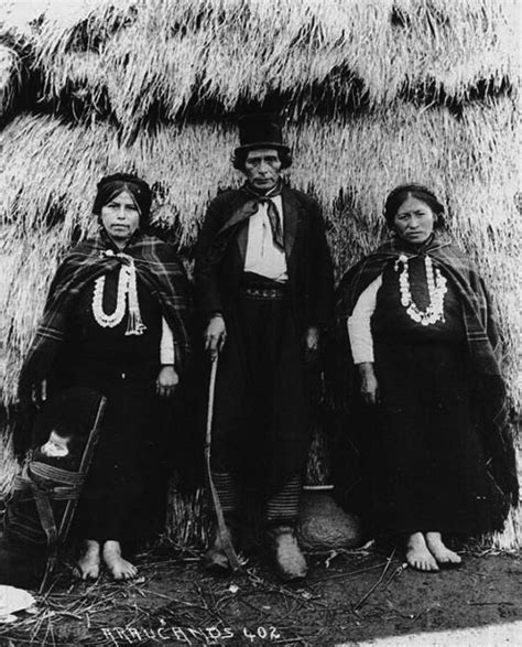 Mapuche Cultura Mapuche Pueblo Indígena Cultura Argentina