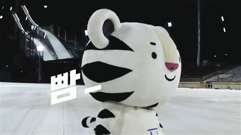 Pyeongchang 2018 Olympics Paralympic Mascot Bandabi And Soohorang 반다비
