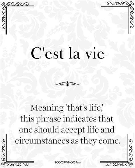 Popular French Quotes About Life Quotes Collection