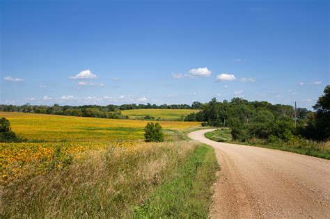 Country Road With Rural Farm Field Landscape Minnesota Midwest Usa