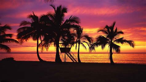 hawaii beach sunset wallpapers 4k hd hawaii beach sunset backgrounds on wallpaperbat