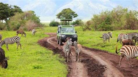 New Tourism Tax Roils Tanzania Safari Industry Travel Weekly