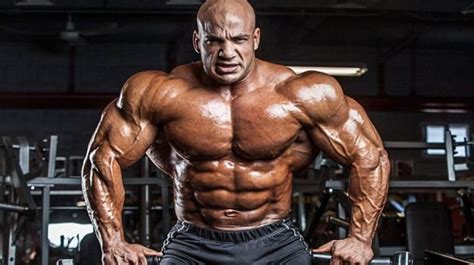 È sicuro usare steroidi per costruire muscoli WikiStero La Bibbia degli steroidi anabolizzanti