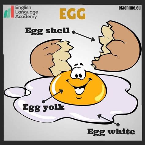Vocabulary Egg English Vocabulary Words Nursery Rhyme Lessons