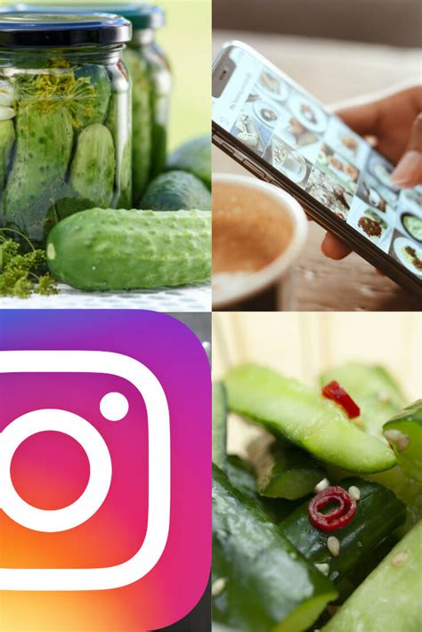 41 Brilliant Pickle Quotes And Pickle Instagram Captions No Fuss Kitchen