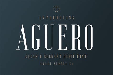 A commercial font end user license is granted after a paypal donation has been received. Aguero Serif - Clean & Elegant Font | *FONTS ( All ...