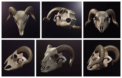 Ram Skull Mask 3d Renders By Dragonartist15 On Deviantart