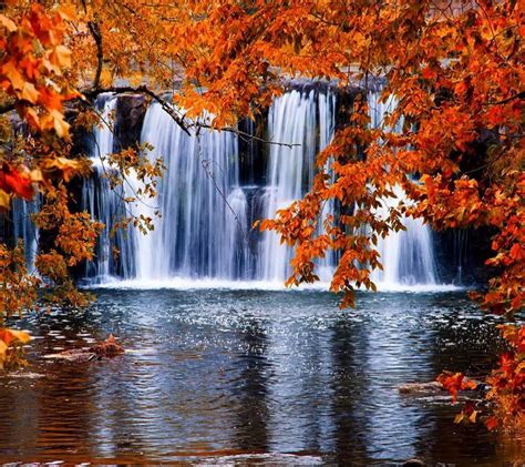 Waterfall Autumn Lovely Stream