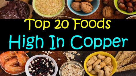 Top 20 Foods High In Copper Youtube In 2022 Food Health Fitness