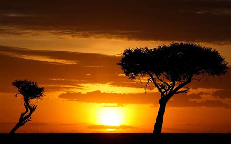Sunset In Kenya Kenya Safari Safari Holidays Safari