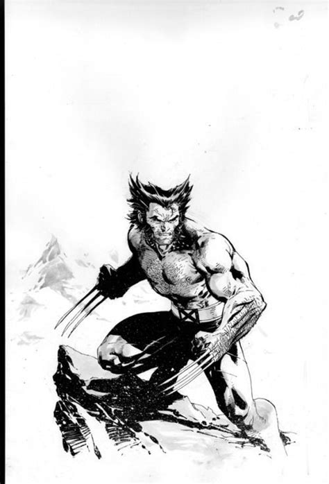 Wolverine Artwork Wolverine Art Wolverine Marvel