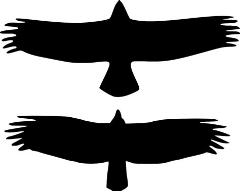 SVG fliegend Vögel Kostenloses SVG Bild Symbol SVG Silh