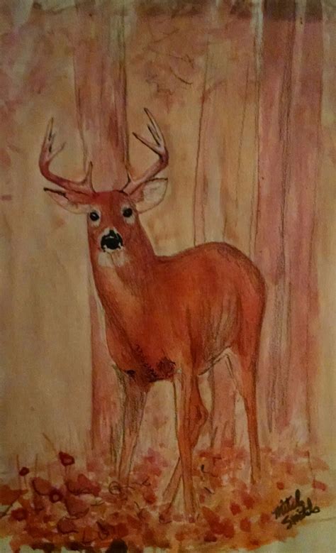 Whitetail Deer Sketch In Color Ink Deer Sketch Wildlife Art Coloring
