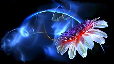 42 Neon Butterfly And Flowers Wallpaper On Wallpapersafari
