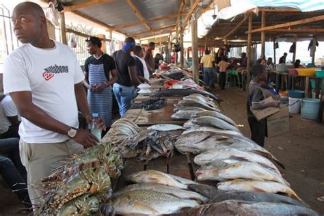 Japan Funds New Fish Market In Maputo Wanted In Africa