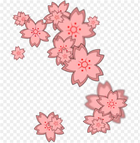 Sakura Petals Cutout PNG Clipart Images TOPpng