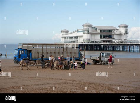 Magers Donkey Ride On The Beach At Weston Super Mare Somerset England