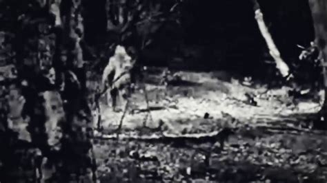 New Incredible Bigfoot Video Amazing Footage Of Massive Sasquatch